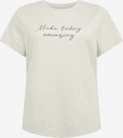 T-shirts Shirt Hilla Dames Grijs Gemêleerd