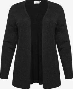 Vesten Gebreid Vest Farsia Dames Zwart