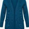 Vesten Gebreid Vest Dames Blauw