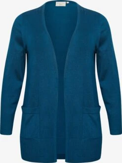 Vesten Gebreid Vest Dames Blauw