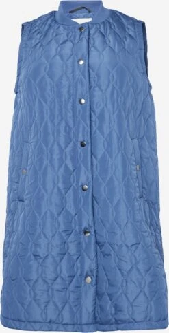 Bodywarmers Bodywarmer Malenea Dames Donkerblauw